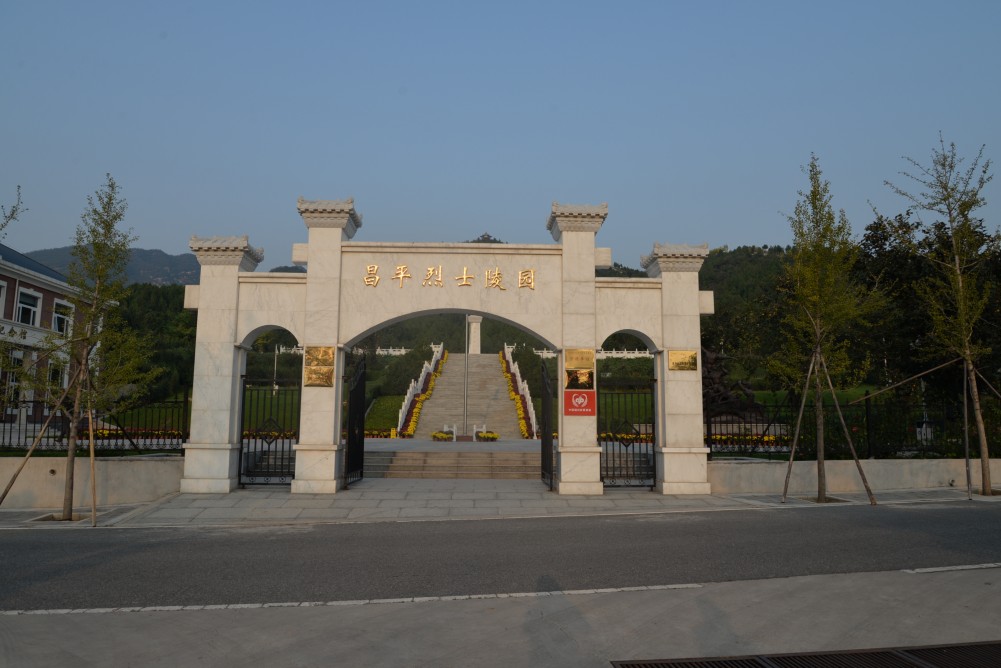 DSC_8503_conew1.jpg