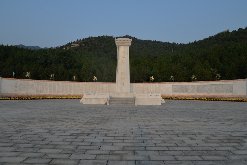 DSC_8484_conew1.jpg